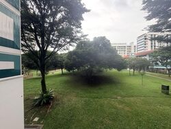 bukit-batok-street-51 photo thumbnail #2